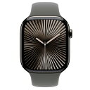 Apple Apple Watch Series10 46mm GPS+Cellularモデル MX173J/A+MXLY3FE/A A3003【スレートチタニ...