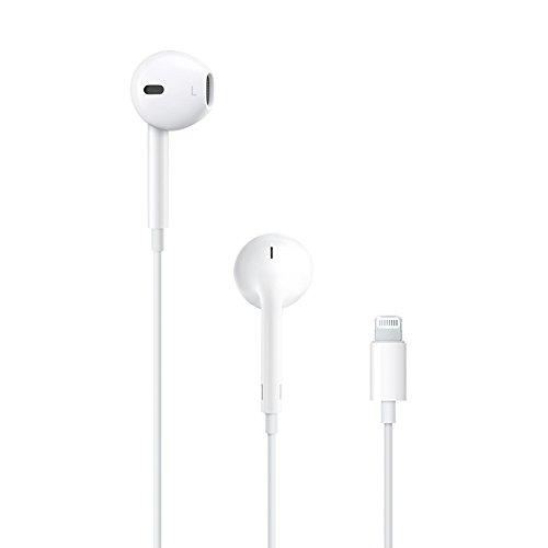 未使用 Apple アップル 純正 Lightningイヤホン iPad iPhone iPod 対応Lightning A1748 インナーイヤー型 Apple EarPods with Lightning Connector ホワイト MMTN2J/A 同等 iPhone7 8 X XS XR本体同梱品 最短発送