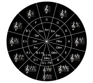 【送料無料】五度圏表シール Circle of Fifths 黒 再剥離タイプ godoken-0004