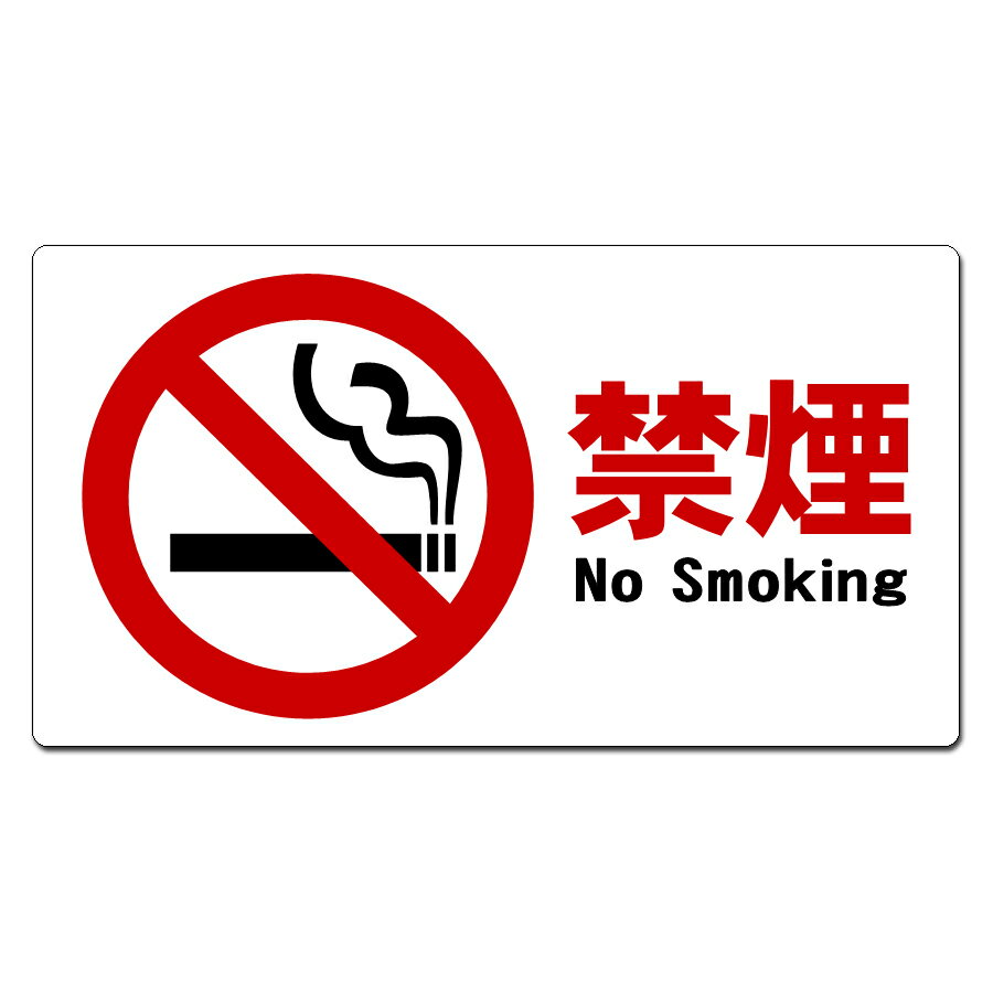 �ر쥹�ƥå��� ���� 225mm x 123mm NSS-0002