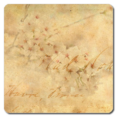 【送料無料クリックポスト発送】おしゃれな 携帯用 捺印マット サイズ約100 x 100mm　厚さ約2mm　NMN-141