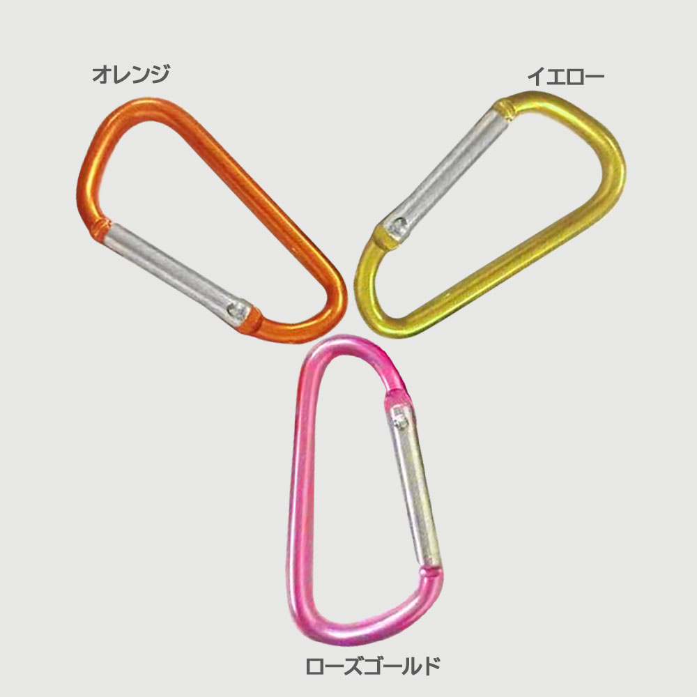 ����ӥ� 10�ĥ��å� ¿���� D�� �Хå��� ���ץ�� ���ʥåץ���å� �եå� �����ۥ���� ������� ��Ǽ �� �֤鲼�� ����̵�� ��ʪ �ߤ겼����Ǽ