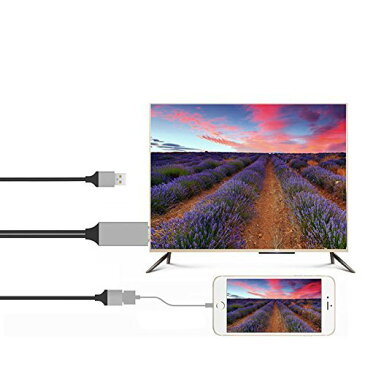 iPhone iPad用 HDMI 変換アダブターLightning 変換ケーブル テレビ接続 1080P 高解像度 HDMIケーブル USBメス to HDMIコネクタ iphoneXS iphoneXS Max iphoneXR 送料無料