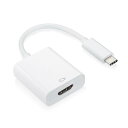 タイプC Type-C USB 3.1→Displayport (オス-メス)変換アダプター ケーブル(2)