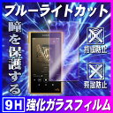 Sony WM1シリーズ ウォークマンNW-WM1ZM2