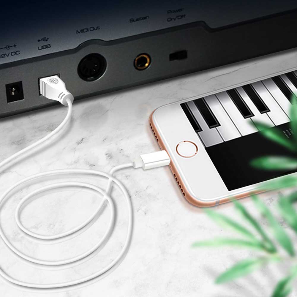 ����̵�� MIDI Type-B �Ѵ������֥�1M USB B to TYPE C �������� �Ѵ������֥� 1.0M for PC �ץ�󥿡� ���ޥ� �Żҥԥ��� �����ǥ������󥿡��ե������ʤ��� USB B to MicroUSB ��������