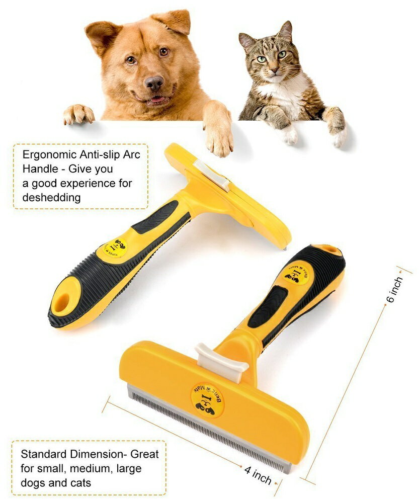 ������̵���۸� �ڥå��ѥ֥饷 �Ӽ��ȥ��롼�ߥ� �ڥåȥ֥饷 Ĺ�Ӽ���