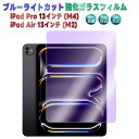 アイパッド iPad Pro 13インチ (M4) / iPad Air 13インチ (M2) 2024 (M3) 2025 ブルーライトカット 強化ガラス 液...