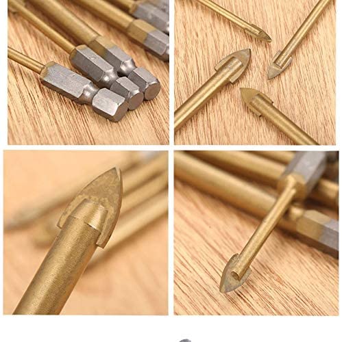 ���饹�ɥ��ӥå� 6�������� ���饹 ������ ���졼�� ���饹���������ѥɥ��ӥå� ƫ�� ��ʪ���ꤢ������ư�ɥ饤�С���tecc-glabit