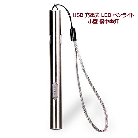 LED ペンライト 小型 懐中電灯 USB 充