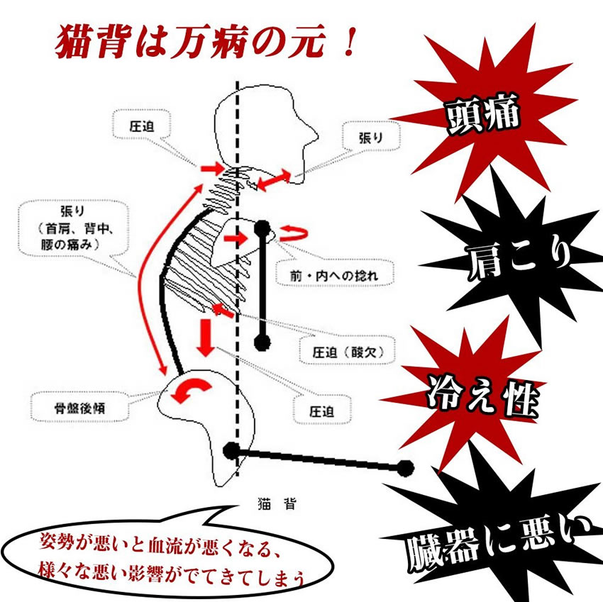 【メール便発送・代引不可】背筋 矯正 ベルト サポーター 猫背 男性 姿勢 改善 ダイエット レディース メンズ　男女兼用 肩こり 解消　健康 TEC-STFORMD