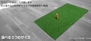 【送料無料】 ゴルフ 練習用 スイング マット 【Sサイズ】 ゴム ティー 打ちっぱなし トレーニング GOLF コンパクト 自宅 TEC-GOFARD-S