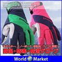 【複数割引対象品】スキー スノーボード 自転車 バイク に最適 手袋 防風 防寒 防滑 グローブ 選べる 2サイズ DFS-TEBUKURO09