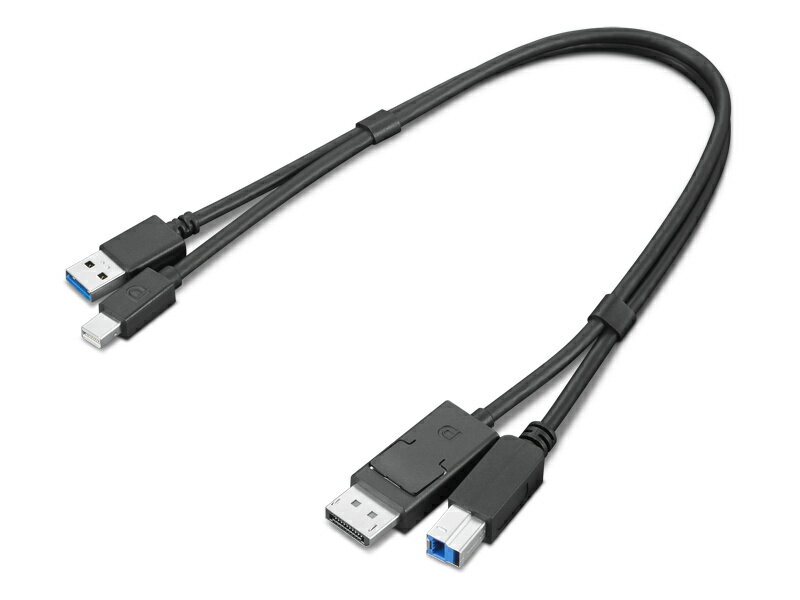 レノボ・ジャパン 4X91D11453 ThinkStation Mini-DisplayPort/ USB Type-A3.0 - DisplayPort/ USB Type-B3.0 変換アダプター