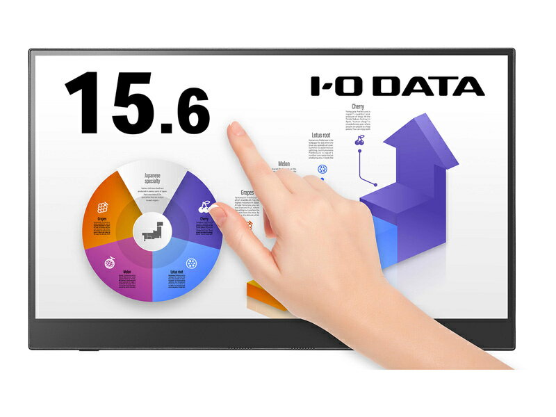 IODATA LCD-CF161XDB-MT 10点マルチタッチ対応 15.6型フルHD対応モバイルディスプレイ