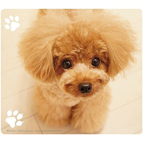 サンワサプライ MPD-215B 動物マウスパッド（ティーカッププードル）【在庫目安:お取り寄せ】| パソコ..