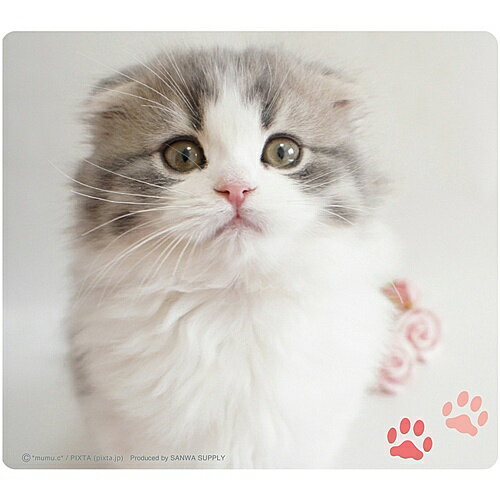 サンワサプライ MPD-215E 動物マウスパッド（スコティッシュフォールド）【在庫目安:お取り寄せ】| パ..