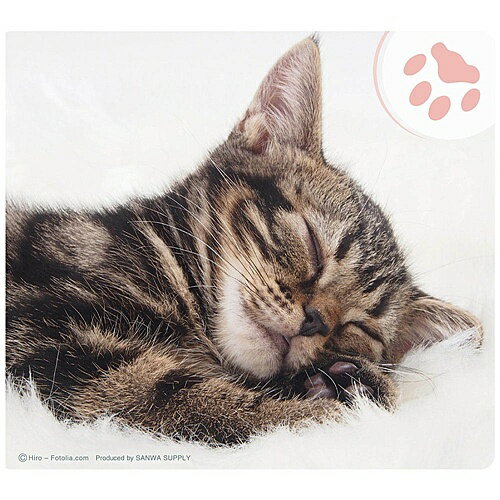 サンワサプライ MPD-215D 動物マウスパッド（アメリカンショートヘア）【在庫目安:お取り寄せ】| パソ..