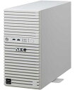 【送料無料】NEC NP8100-2995YP7Y Express5800/ D/ T110m Xeon E-2414 4C/ 32GB/ SATA 2TB*2 RAID1/ W2022/ タワー 3年保証【在庫目安:僅少】| パソコン周辺機器(2)