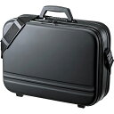 【送料無料】サンワサプライ BAG-716BK2 セミハードPCケース(17.3型ワイド・ダブルタイプ・ブラック)【在庫目安:お取り寄せ】