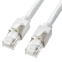 サンワサプライ KB-T6ATS-10W カテゴリ6A LANケーブル(ホワイト・10m)【在庫目安:お取り寄せ】(2)