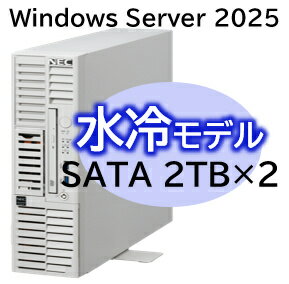 【送料無料】NEC NP8100-3025YP4Y Express5800/ D/ T110m-S 水冷モデル Xeon 6315P 4C/ 16GB/ SATA 2TB*2 RAID1/ W2025/ タワー 3年保証【在庫目安:お取り寄せ】| パソコン周辺機器
