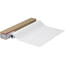 【送料無料】Canon 4377B001 フォト光沢紙HG(厚口) LFM-GPH/ 60/ 255【在庫目安:お取り寄せ】| 消耗品 プロッター用ロール紙 プ...