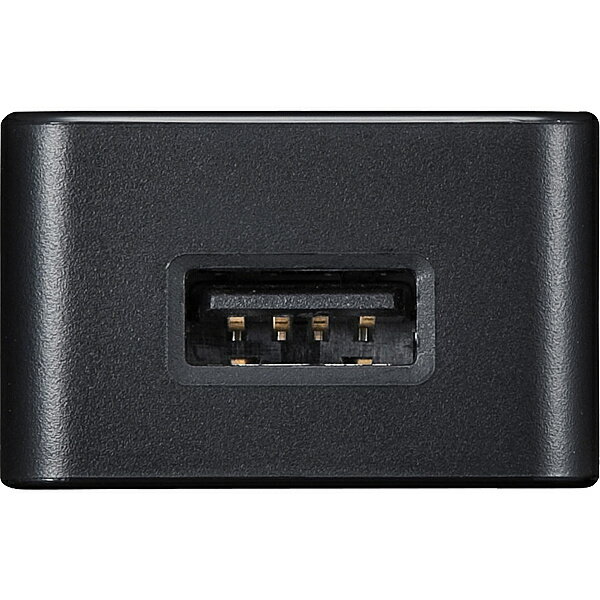 サンワサプライ ACA-IP52BK USB充電器（2A・高耐久タイプ・ブラック）【在庫目安:僅少】| 電源 ACアダプタ AC電源 アダプタ USB用電源アダプタ USBアダプタ