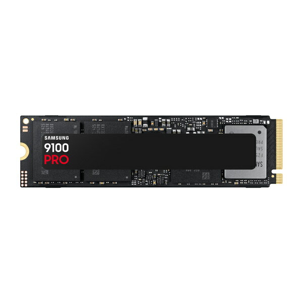 【送料無料】サムスン MZ-VAP2T0B-IT PCIe 5.0 x4 NVMe M.2 SSD 9100 PRO 2TB【在庫目安:お取り寄せ】