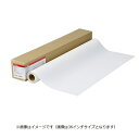 【送料無料】Canon 9125A005 バックライトフィルムHG LFM-BLH/ 42/ 164【在庫目安:お取り寄せ】| 消耗品 プロッター用ロール紙 プ...