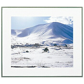 ¾ 700194 FUJICOLOR ޥåȥѥͥWP2 ӥ͡ں߸ܰ:󤻡