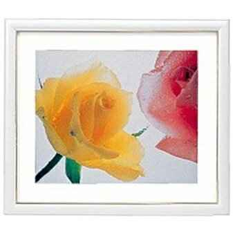 浅沼商会 402951 FUJICOLOR 木製額縁 アートフレームホワイト 6切【在庫目安:お取り寄せ】