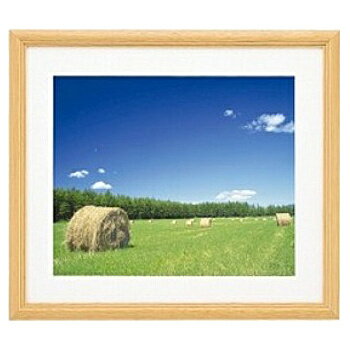 浅沼商会 406089 FUJICOLOR 木製額縁 YM-3 木地アクリル 6切【在庫目安:お取り寄せ】