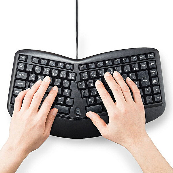 【送料無料】サンワサプライ SKB-ERG3BK エルゴノミクスキーボード（ブラック）【在庫目安:お取り寄せ】| パソコン周辺機器 有線キーボード USB ゲーミング 有線 キーボード ワイヤード ワイアード