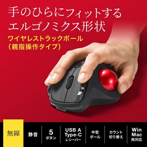 BUFFALO(バッファロー) USB接続 有線スタンダードキーボード US English配列 ブラック BSKBU100ENBK