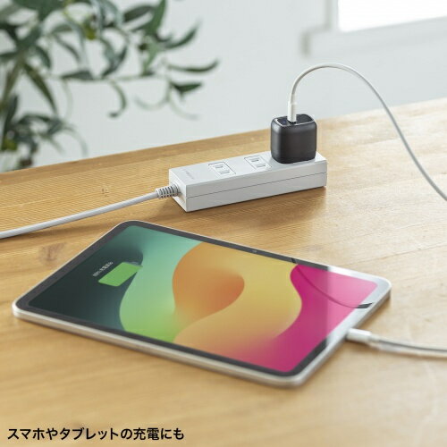 サンワサプライ ACA-PD99BK USB PD対応AC充電器（PD30W）【在庫目安:お取り寄せ】