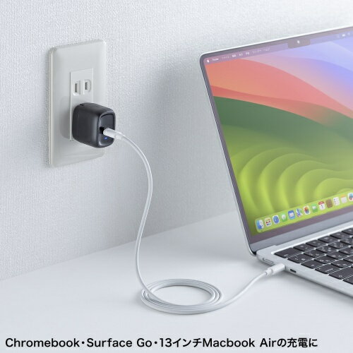サンワサプライ ACA-PD99BK USB PD対応AC充電器（PD30W）【在庫目安:お取り寄せ】