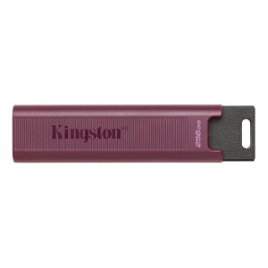 キングストン DTMAXA/256GB DataTraveler Max USB3.2 Gen2 Type-A 256GB【在庫目安:お取り寄せ】ネット通販
