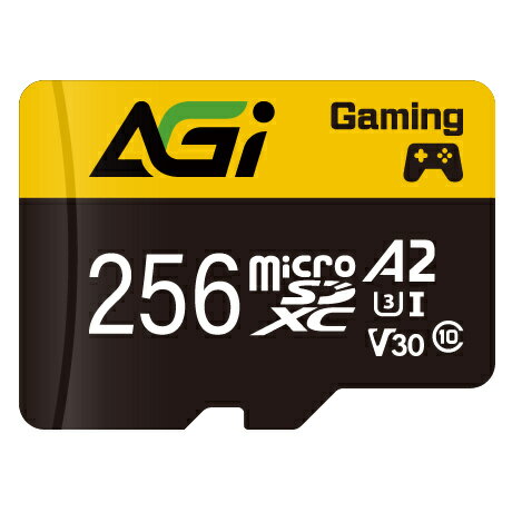 【送料無料】AGI AGI256G2DTF138 TF138 Micro SDXC 256GB UHS-I U3 V30 A2 R/ W up to 100/ 70MB/ s SDメモリーカード変換アダプタ、Type-C Reader付【在庫目安:お取り寄せ】