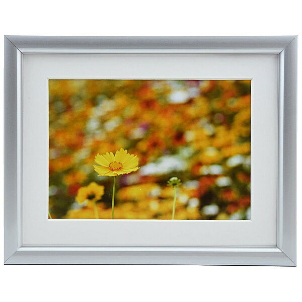 浅沼商会 306617 FUJICOLOR アルミ額縁 A32 キャビネ 2L シルバー【在庫目安:お取り寄せ】