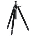 【送料無料】ベルボン PGN630-A 中型カーボン三脚 プロフェッショナル・ジオ N630 脚のみ 3段【在庫目安:お取り寄せ】| カメラ 三脚 一脚 ビデオ...