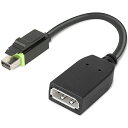 レノボ・ジャパン 4X90Q93975 ThinkStation Mini DisplayPort - DisplayPortアダプター【在庫目安:お取り寄せ】(2)