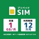 【送料無料】モバイル・プランニング 20211117-2970 プリペイドSIM 月間1GB 12ヶ月 ドコモ【在庫目安:お取り寄せ】