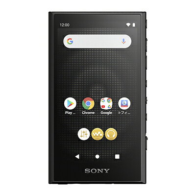【送料無料】SONY(VAIO) NW-A306/B ウォークマン A300シリーズ 32GB ブラック【在庫目安:お取り寄せ】