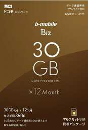 【在庫目安:あり】【送料無料】日本通信 BM-GTPLBC-12MC b-mobile Biz SIMパッケージ(DC/ マルチ)