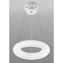 【送料無料】東芝 NLEP12000A-LC LEDシーリングライト 12畳【在庫目安:お取り寄せ】