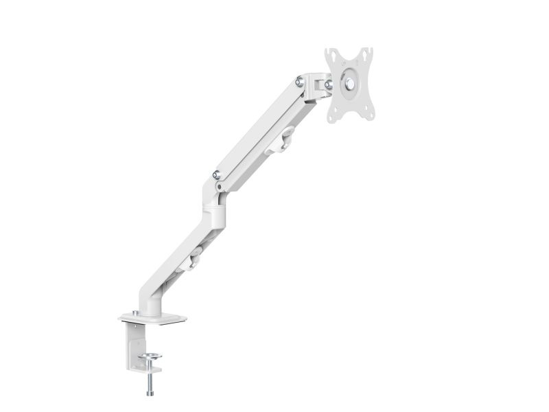 ̵GOPPA GP-DPAS1/W VESAбư󥰥ǥץ쥤5 ۥ磻ȡں߸ܰ:󤻡| ե եȶ