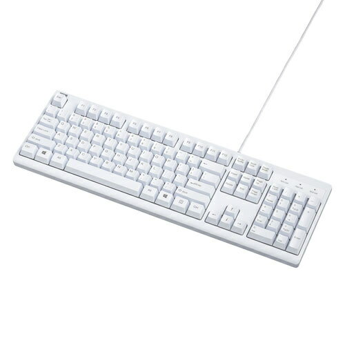 【送料無料】サンワサプライ SKB-E5UW 英語USBキーボード(ホワイト)【在庫目安:お取り寄せ】
