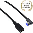 Panasonic CA-LUB200D iPod/ USB接続用中継ケ