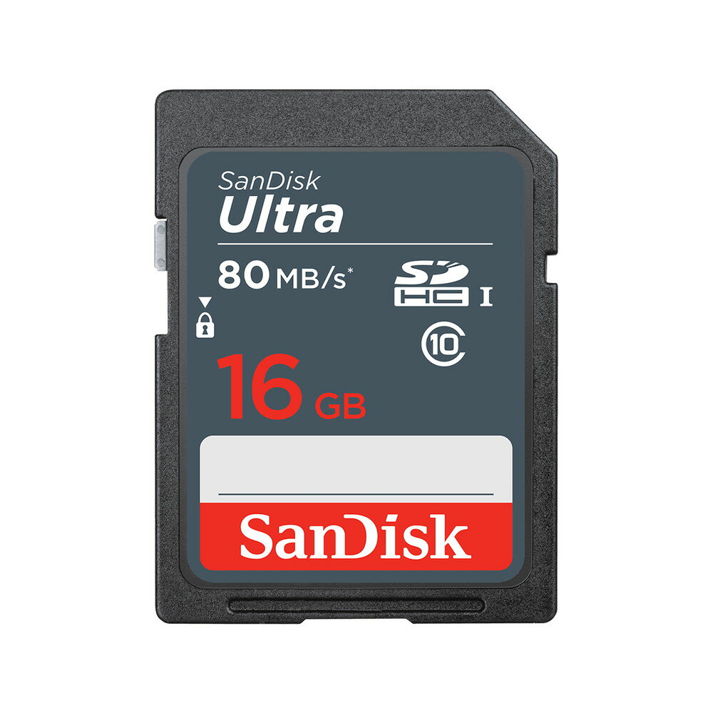 SanDisk SDSDUNS-016G-GN3IN SDJ[h SDHC UHS1 Class10 16GB@COpbP[W